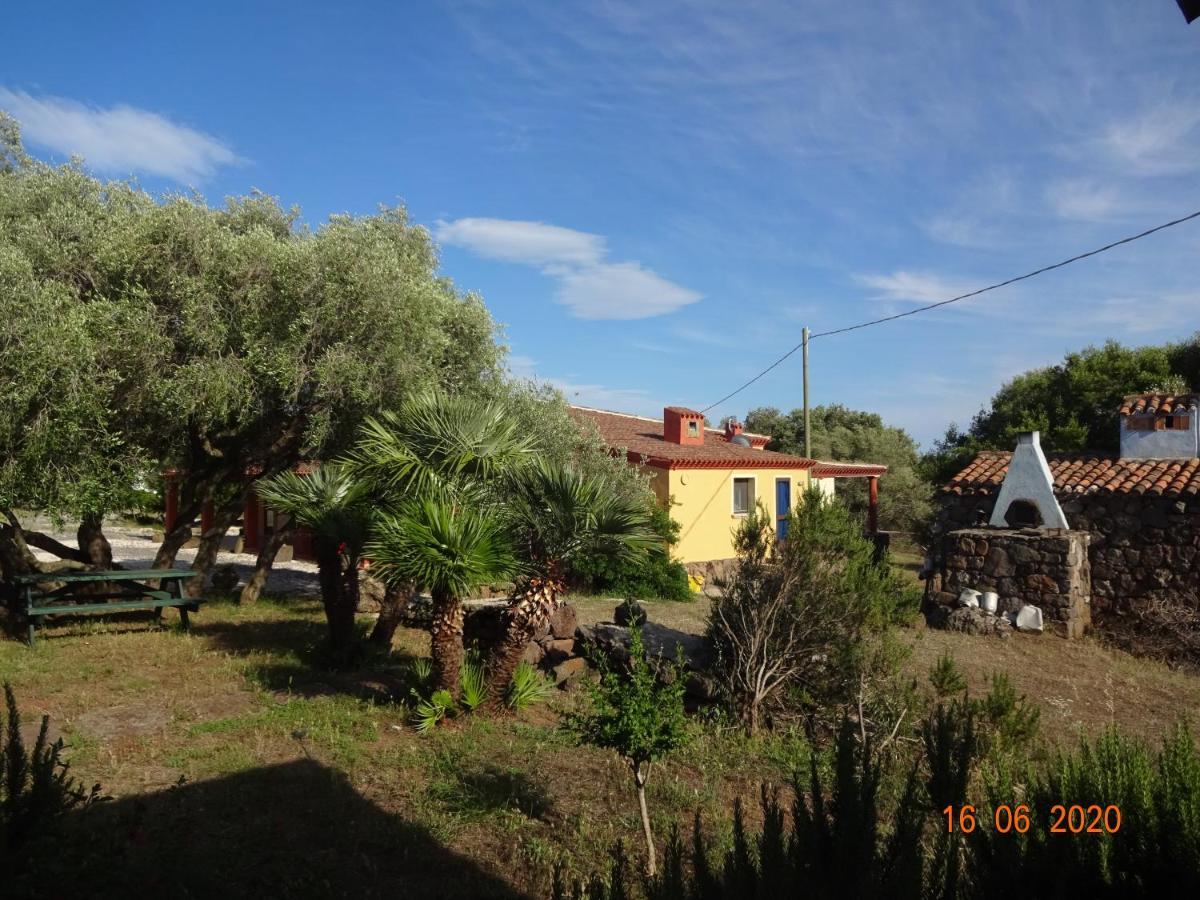 Agriturismo Conca' E Janas Доргалі Екстер'єр фото