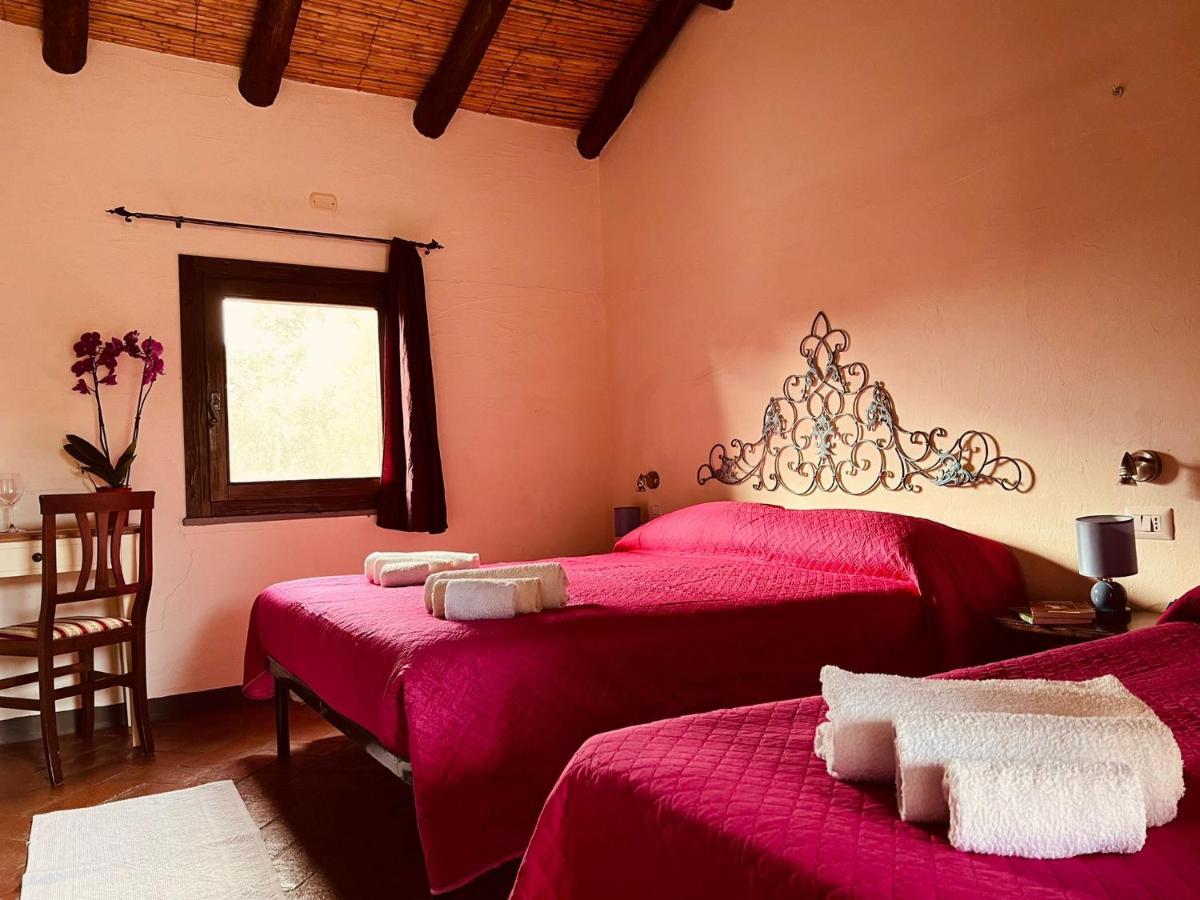 Agriturismo Conca' E Janas Доргалі Номер фото
