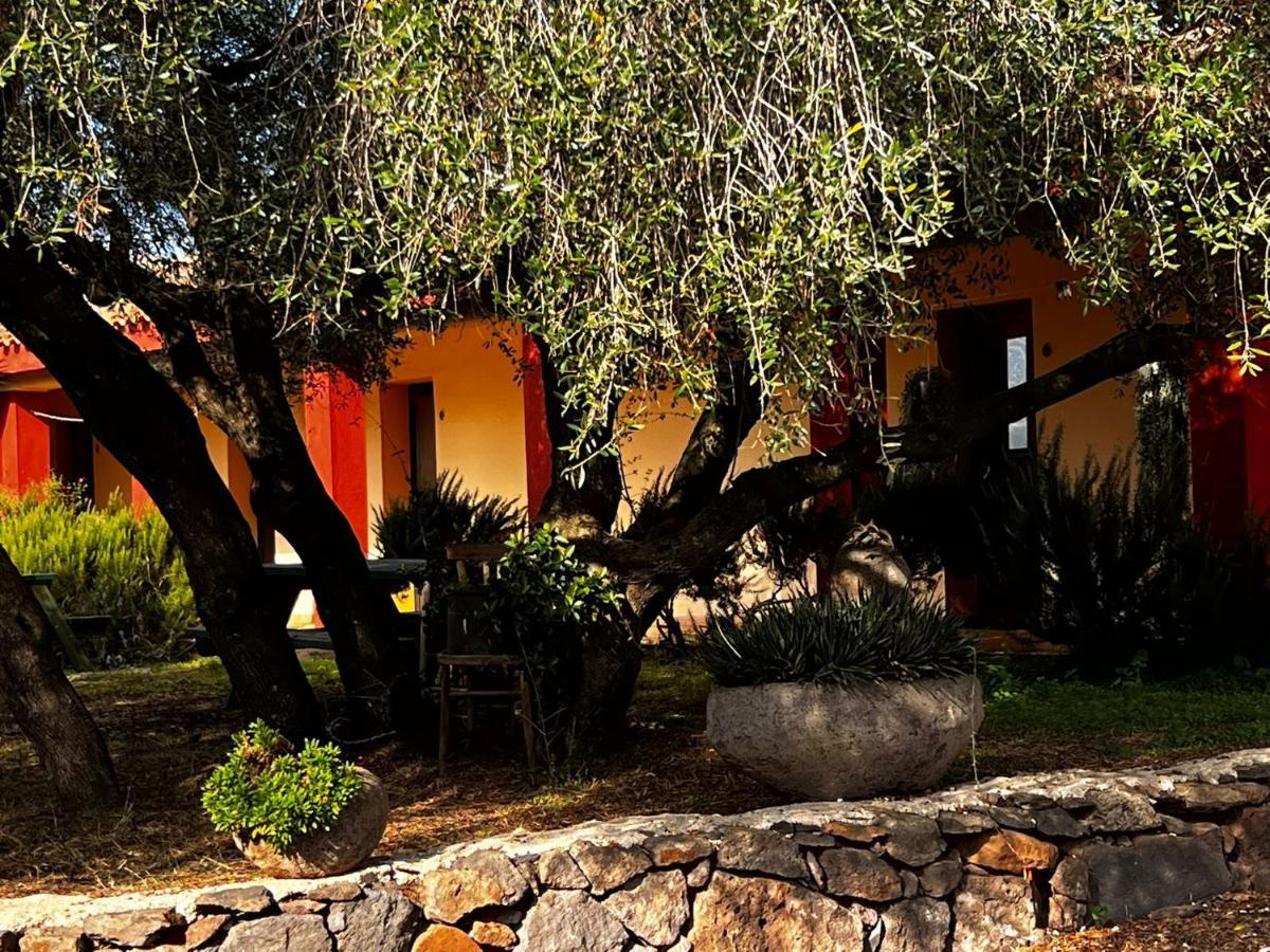 Agriturismo Conca' E Janas Доргалі Екстер'єр фото