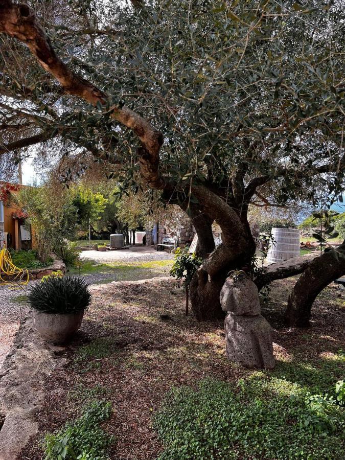 Agriturismo Conca' E Janas Доргалі Екстер'єр фото