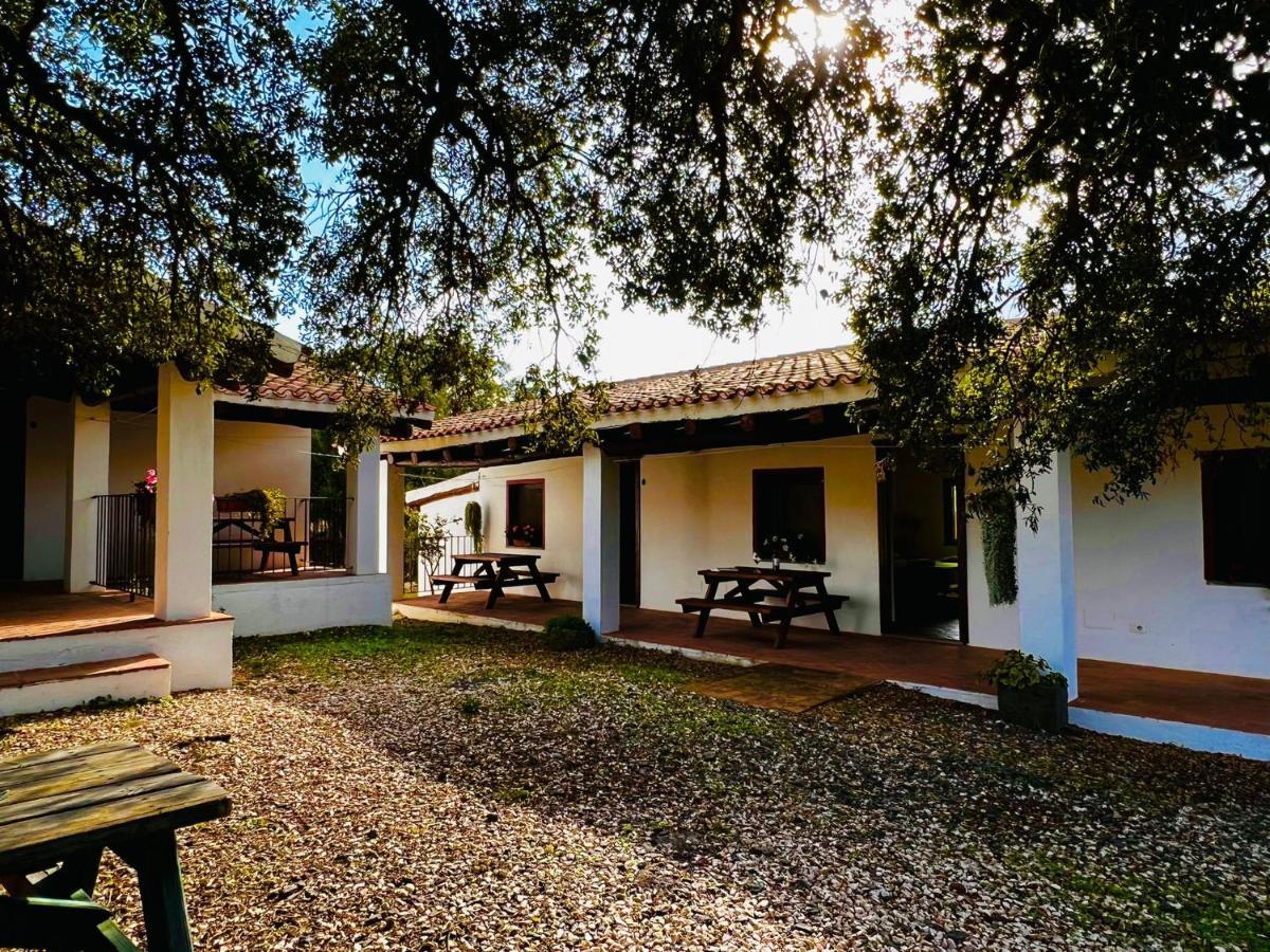 Agriturismo Conca' E Janas Доргалі Екстер'єр фото