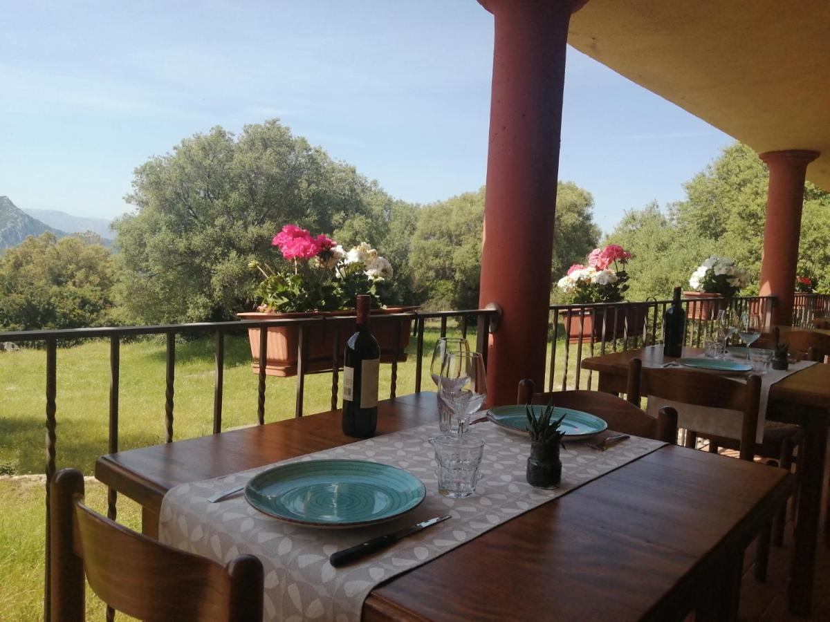 Agriturismo Conca' E Janas Доргалі Екстер'єр фото
