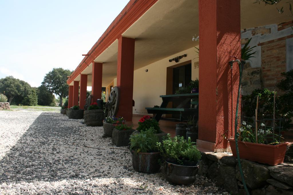 Agriturismo Conca' E Janas Доргалі Екстер'єр фото