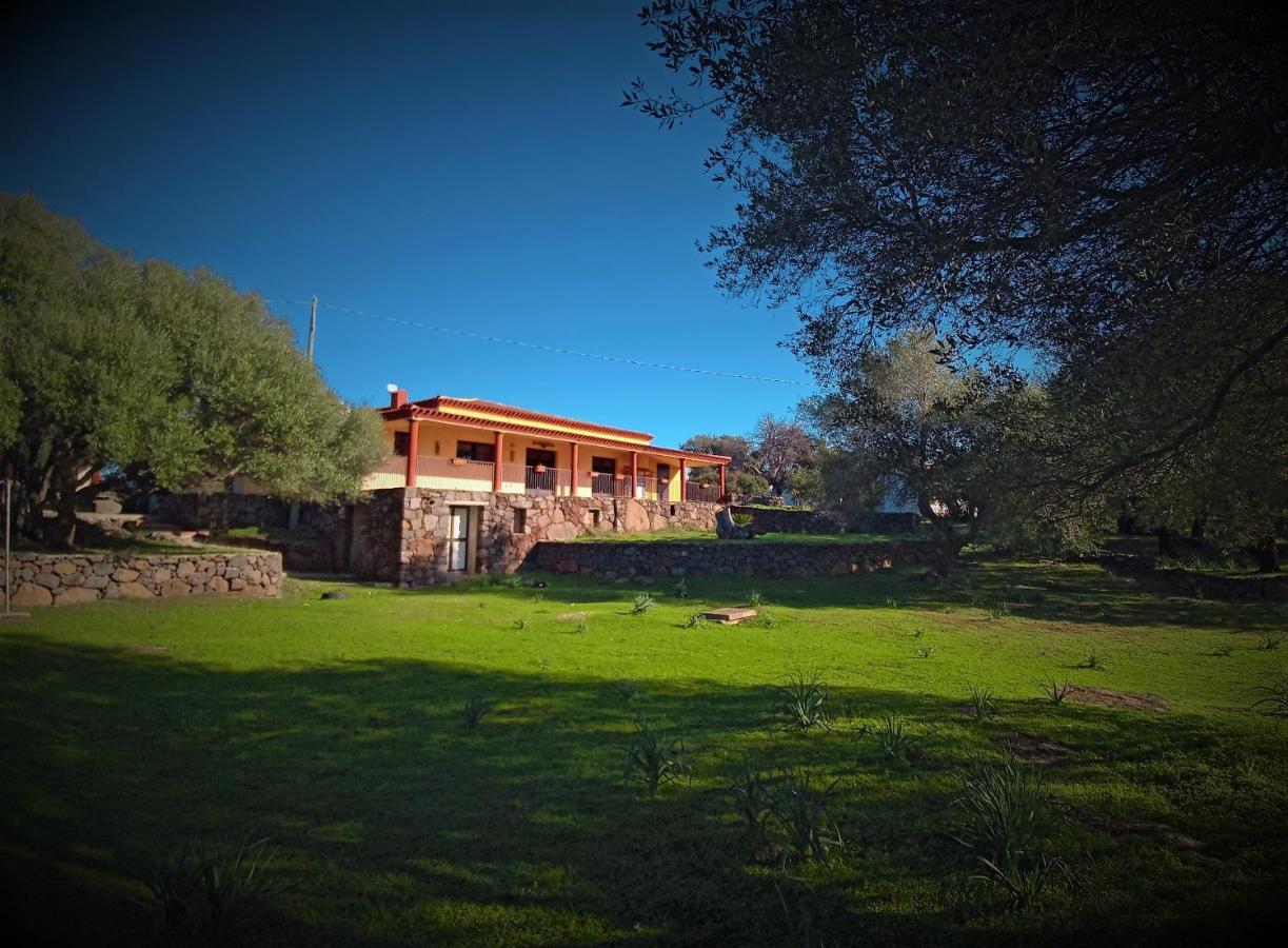 Agriturismo Conca' E Janas Доргалі Екстер'єр фото